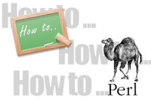 perl howto
