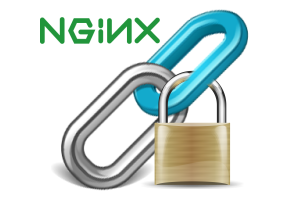 nginx link secure