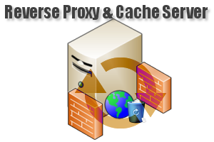 nginx reverse proxy cache