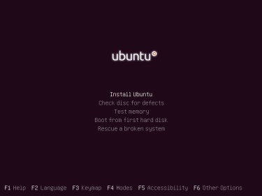Ubuntu 10 インストール開始画面