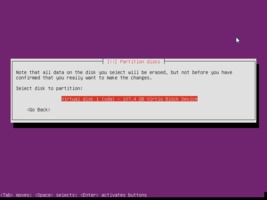 Ubuntu  インストール パーティション