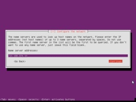 Ubuntu  インストール DNS設定