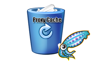 squid proxy cache