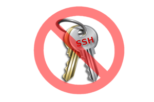 ssh public key