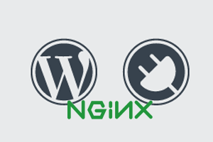 wordpress nginx plugin